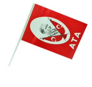 SOPALI BAYRAK KÜÇÜK  100 LÜ