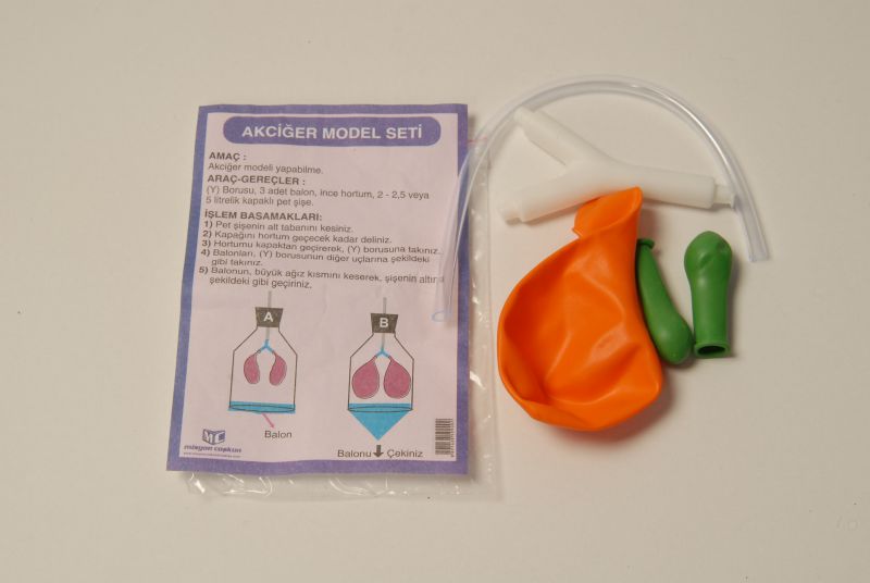 AKCİĞER-SOLUNUM MODEL SETİ DENEY